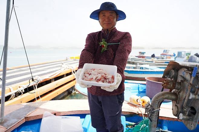 선상 판매 숭어 [연합뉴스 사진]
