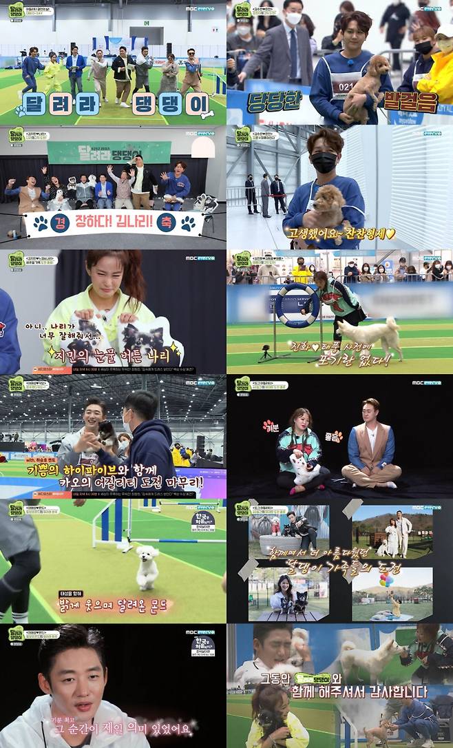 ‘두근두근 레이스-달려라 댕댕이’ MBC에브리원 제공