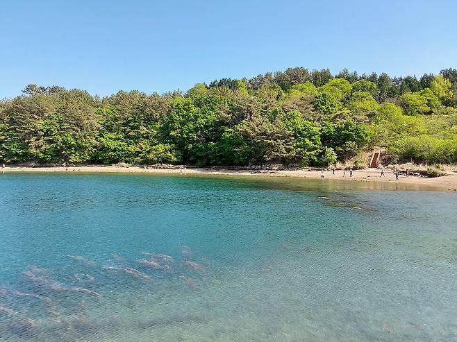 경남 창원시 마산합포구 구산면에 있는 섬, 저도.