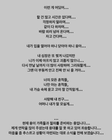 자두 인스타그램