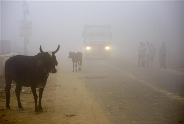 지난 8일 극심한 스모그에 휩싸인 인도 수도 뉴델리 인근 지역의 도로 모습.AP 연합뉴스