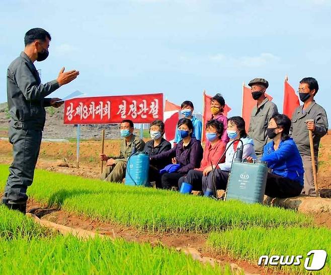 (평양 노동신문=뉴스1) = 북한 노동당 기관지 노동신문은 연일 전국적으로 개시한 모내기철의 중요성을 부각하고 있다. 지난 15일에는 "해마다 되풀이하는 영농공정이라고 해서 만성적으로 대하거나 남을 쳐다보면서 일하면 성과를 보장하기 어렵다"라며 실질적 성과를 위한 적극적 태도를 주문하기도 했다. [국내에서만 사용가능. 재배포 금지. DB 금지. For Use Only in the Republic of Korea. Redistribution Prohibited] rodongphoto@news1.kr