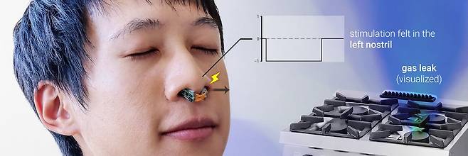 콧구멍에 끼우는 후각 보조 센서는 가스가 새면 바로 냄새의 방향을 알려줘 위험을 감지할 수 있다./미 시카고대