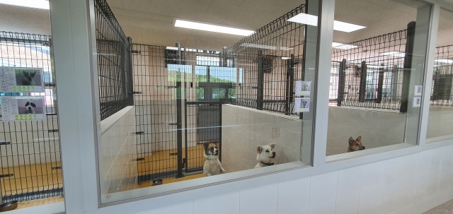 대전 유성구 금고동으로 이전을 완료한 대전시 동물보호센터 내부. 대전시 제공