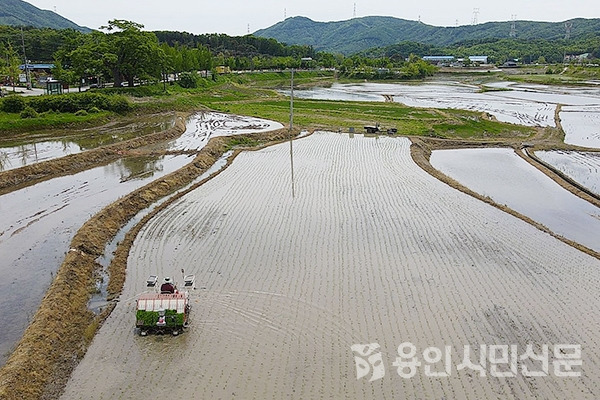 ⓒ 용인시민신문