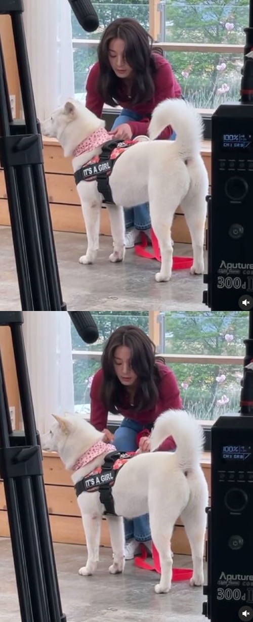 public disclosureActor Seol In-ah reveals two shots with Pet JulieSeol In-ah posted an article and video on his instagram on the afternoon of the 17th, I will stand by after the cheering hemes.Inside the video is a picture of Seol In-ah with Julie.Julie was standing dignified, and she emanated cuteness in itself.Also, Seol In-ah stroked Julie and showed a friendly chemistry to her.On the other hand, Seol In-ah appeared in KBS2 entertainment program Dog is Great (hereinafter referred to as Gae-Gul-Ryung), which was broadcast on the afternoon.