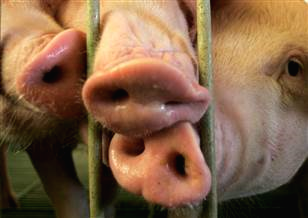 출처: 이미지출처[Reuters]