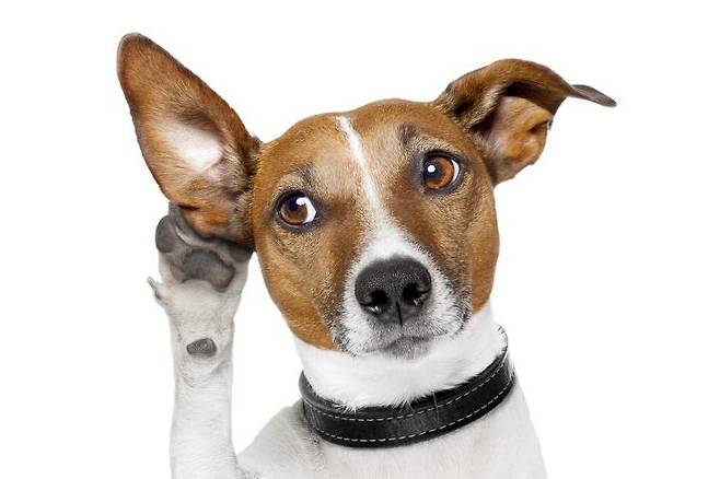 출처: 이미지출처[lavisioblog.it]