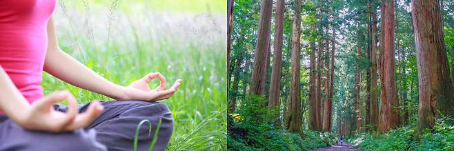 출처: gettyimagesbank