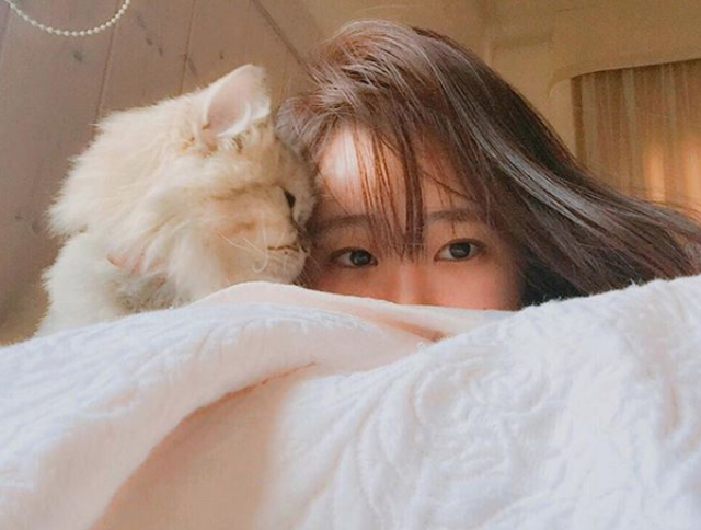냥님이 집사에게 박치기 하는 이유 | 캣랩