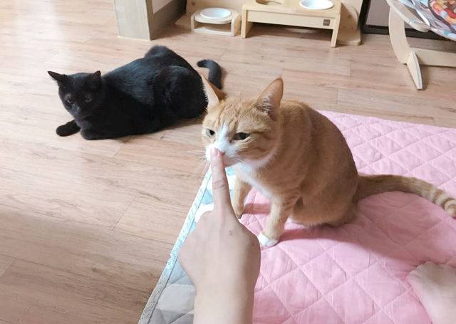 출처: instagram @nulboru