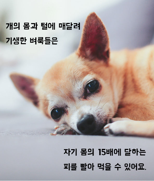 출처: FreeQration