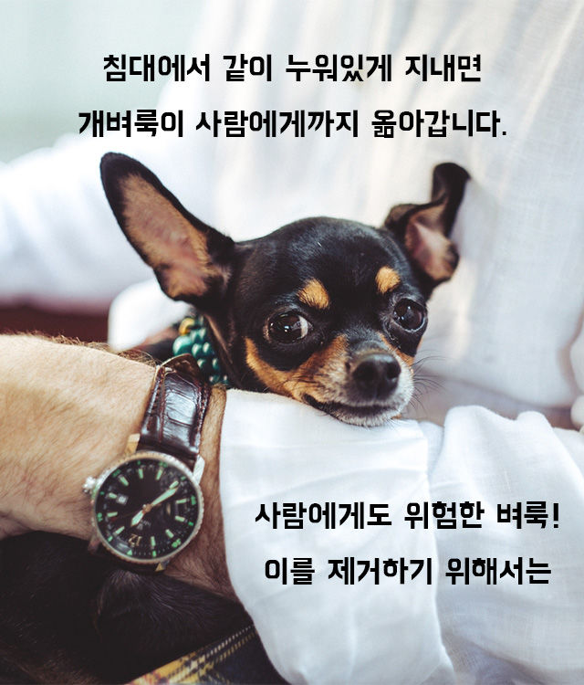 출처: FreeQration