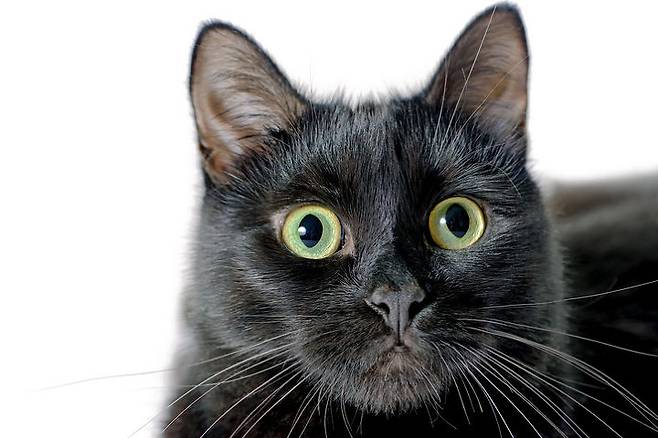 출처: 게티이미지