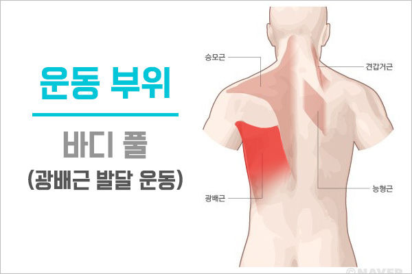 맨몸으로 광배근 운동은 이것만한게 없죠! | 재미어트