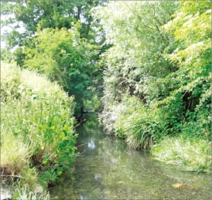 ‘오필리아’의 배경이 된 영국 남부 호그스밀 강.
