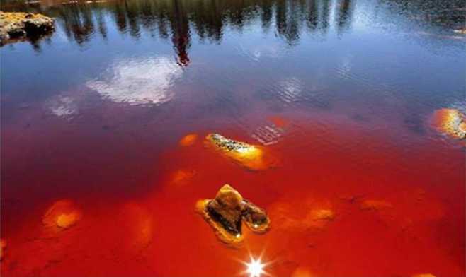 출처: 다음 카페 ∙ 늘푸른 세븐회