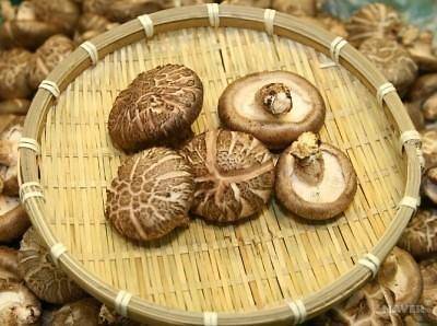 출처: 아주경제뉴스