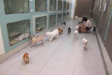 출처: 이리온 홈페이지