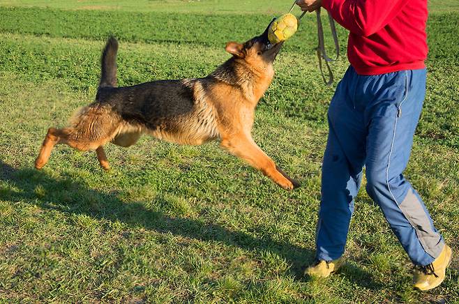 출처: gettyimagesbank