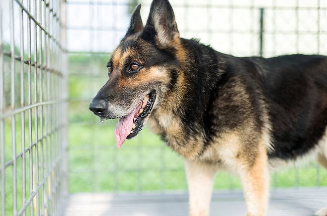 출처: gettyimagesbank