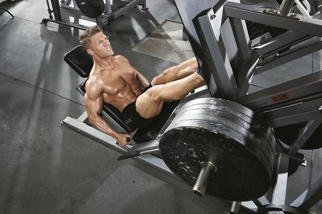 출처: 머슬앤피트니스