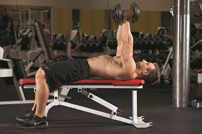 출처: 머슬앤피트니스