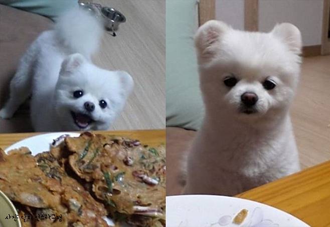 출처: 달리 인스타그램