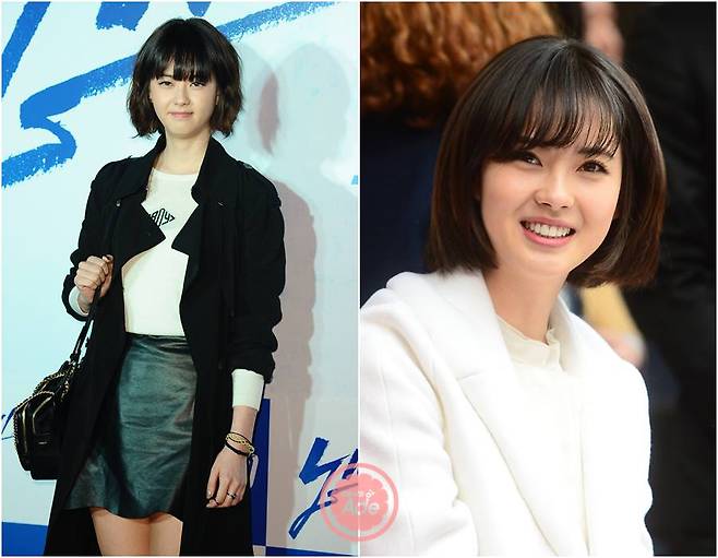 출처: 뉴스에이드 DB