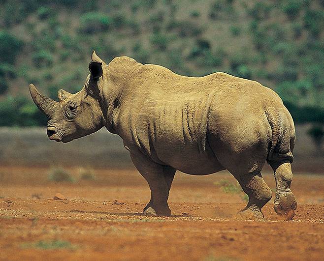 출처: digitalvision