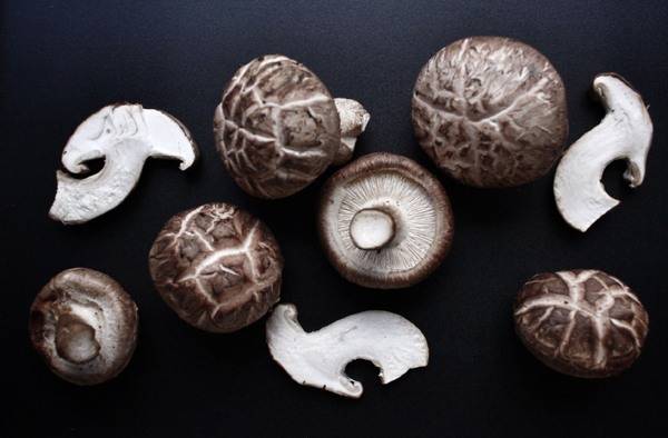 출처: 리얼푸드