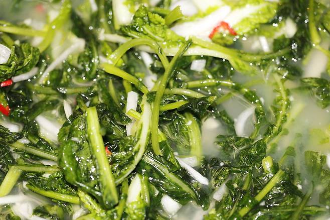 출처: shutterstock