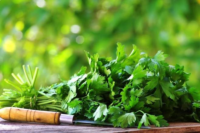 출처: Ashridge Trees