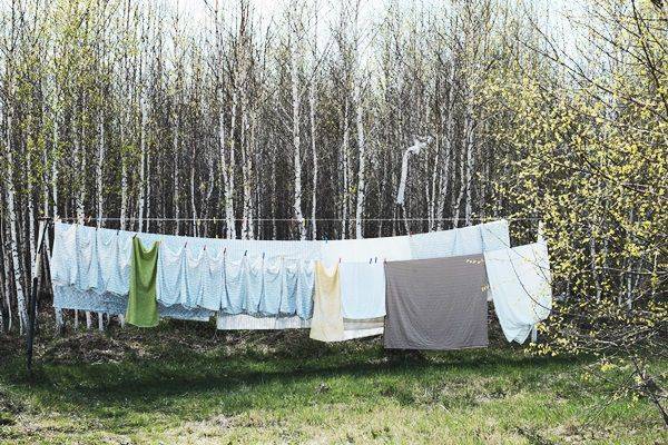 출처: 픽사베이