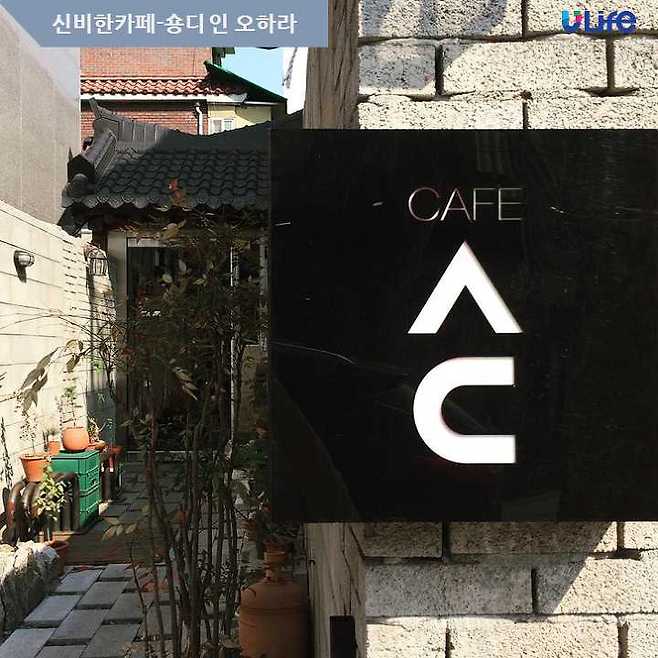 출처: 숑디 인 오하라 인스타그램