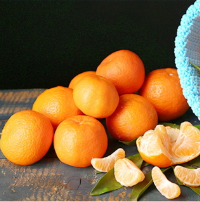 출처: 위시빈 | 꾸꾸까까