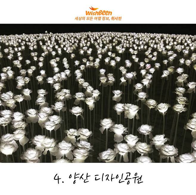 출처: instagram | zzinsss