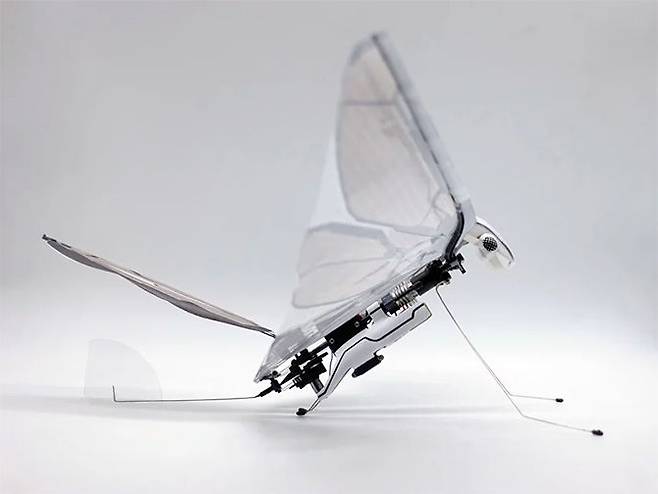 출처: MetaFly - Kickstarter