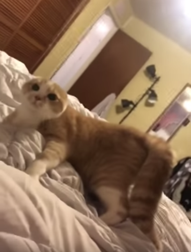 출처: YouTube @Ashley Campbell