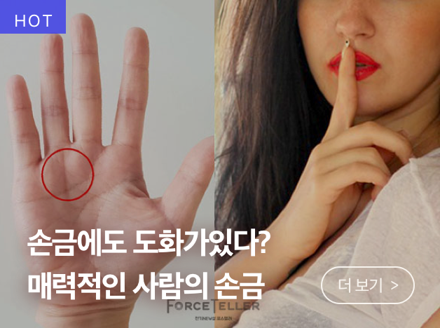 출처: https://forceteller.app.link/Story_5516