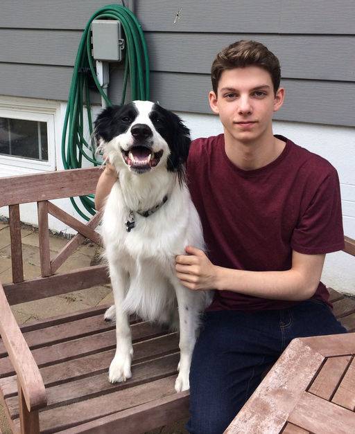 출처: 사진=어질리티 트위터(@agilities)