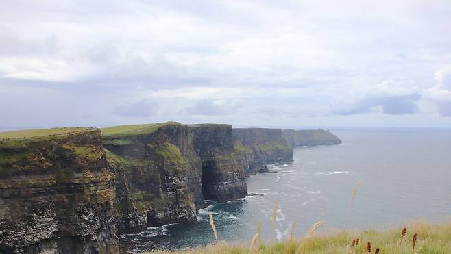 출처: 에디터 개인소장