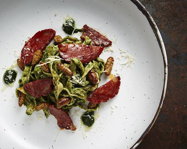 출처: Insects in the Backyard