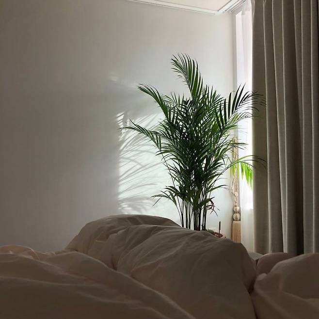 출처: 오늘의집 제품정보 모아보기(▲이미지클릭)