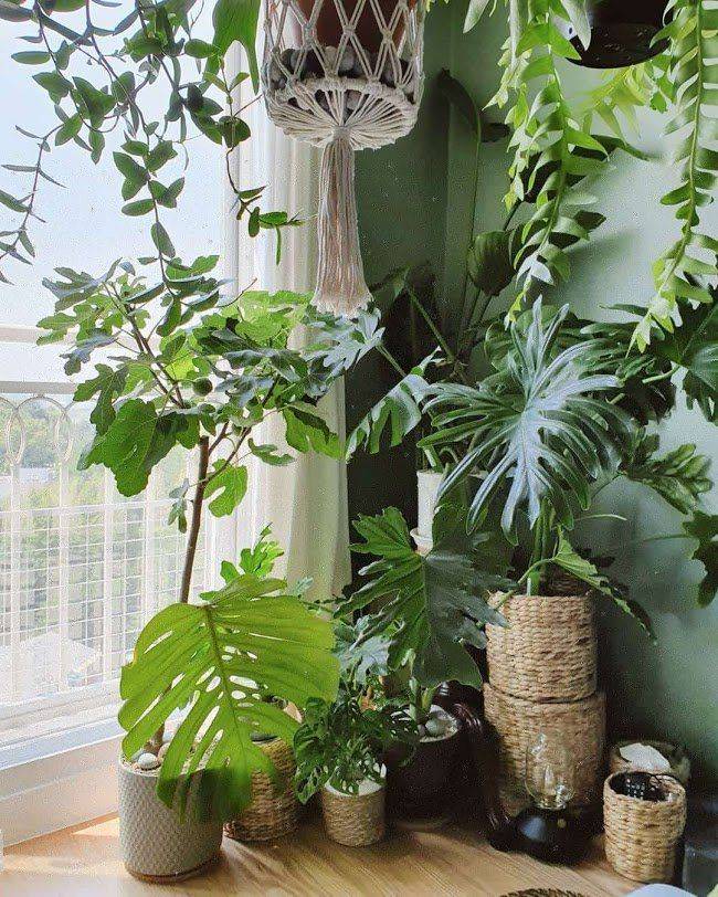 출처: 오늘의집 제품정보 모아보기(▲이미지클릭)