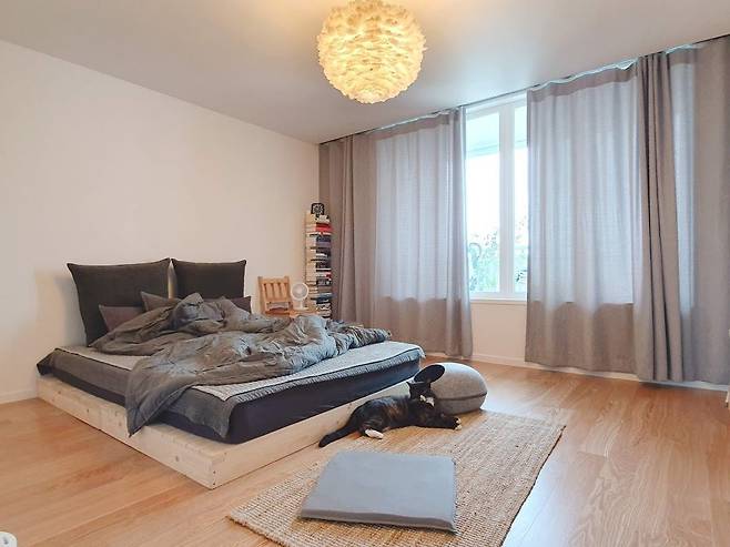 출처: <호텔식베딩><고양이하우스> 등 제품정보 모아보기(▲이미지클릭)