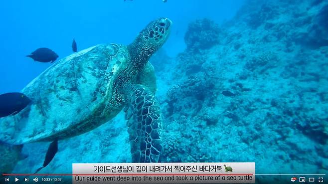 출처: 유튜브 정소민 ssomday