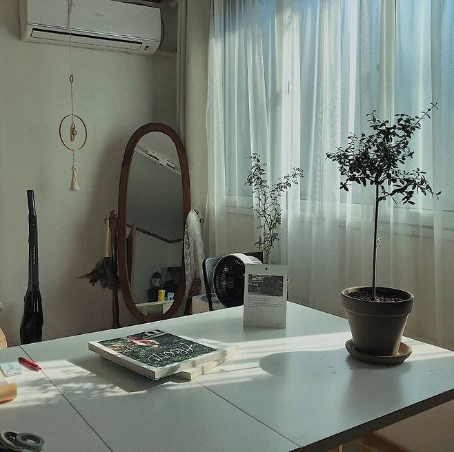 출처: 오늘의집 제품정보 모아보기(▲이미지클릭)