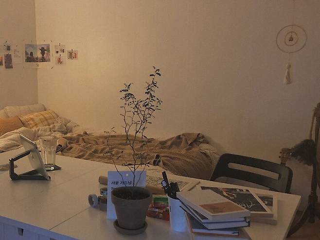 출처: 오늘의집 제품정보 모아보기(▲이미지클릭)