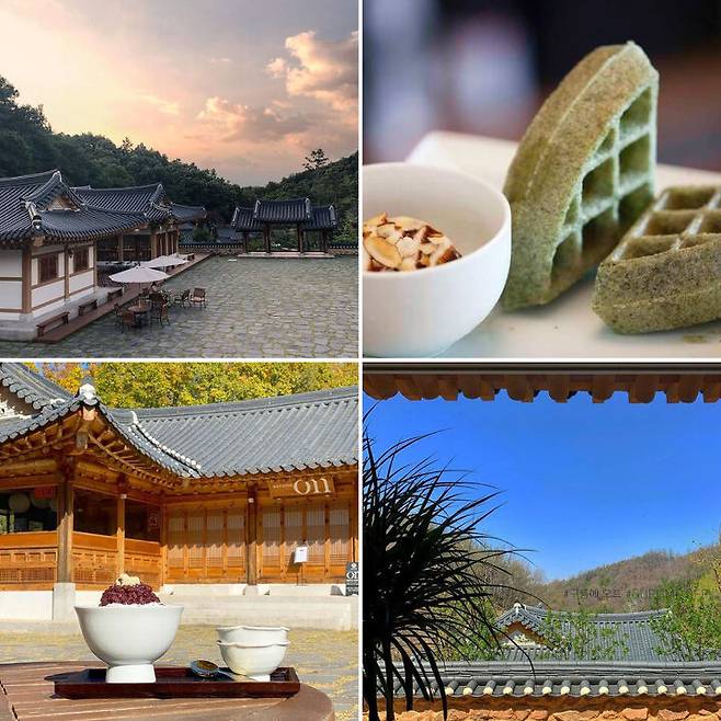 출처: 인스타그램 @lala_hy_, @meomum_off, @lucky__cho, @k9miko